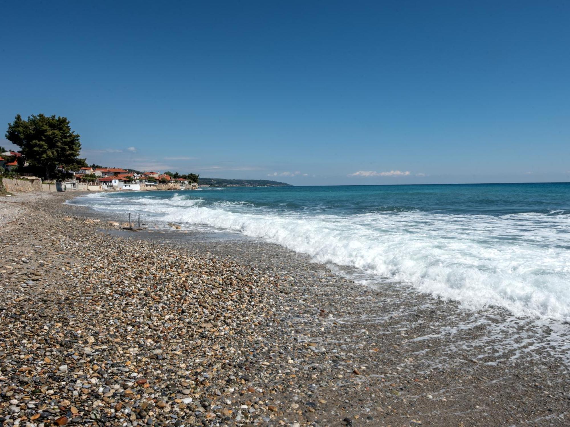 Captain's Sea * Mola Kalyva